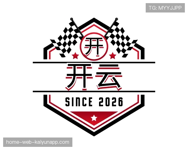 介绍开云世界杯